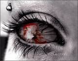 XxshewantsrevengexX