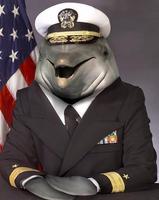drgiggles
