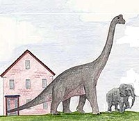 Dinosaurs&Elephants