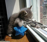 Shadow Soldier