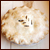 PiEiSGude
