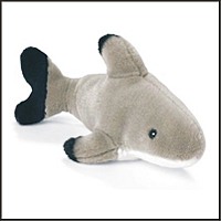 sharklight