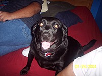 champ_patty_shadow