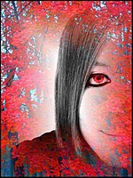 Anbu_CooKie