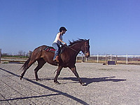 Joe-Lynn-19