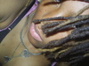 Liptin