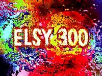 ELSY300