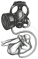 santafemonkey