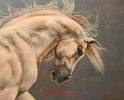 horse999