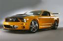 mustang10