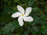 abbiemaldonado
