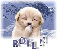 Belgian Rofl