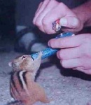 TU_BLAZED