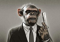 codemonkeys