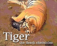 deadtiger