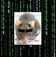deadrat