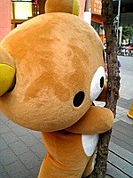 roflbear