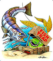 Sea Bass