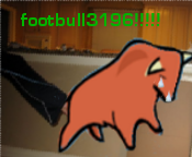 footbull3196