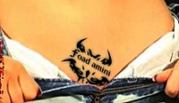 foadi