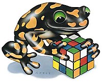 RubixGuru