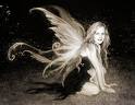 Forgotten_Faerie