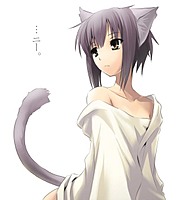*kitty*kitty*