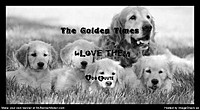 golden.1
