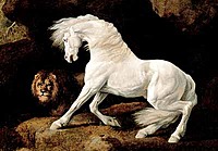 stallion1508