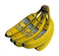 yomamahasawambo