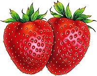 strawberry_red_09