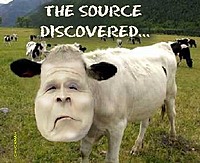 THE COPS GO moo