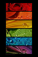 ColorsoftheRainbow