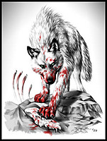 ~White~Wolf~