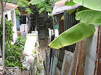 JohnnyBoy_09