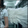 - iFox -