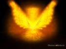 |-Phoenix-|