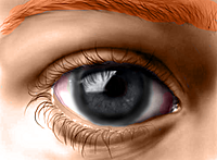 Eyes of Rinnegan