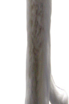 2008-1-19 17:00
