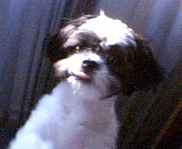 Bubbles288