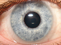 TLoveland4692's Avatar