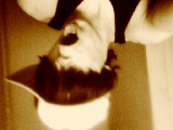 xxAnDrEw2stxx
