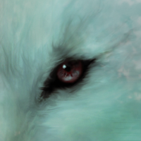 MaxGhost