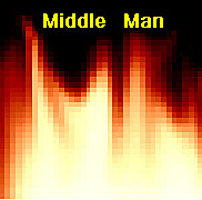 ssdmiddleman