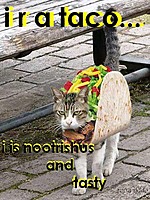taconater