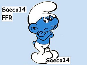 Saeco14