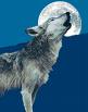 wolfwallker
