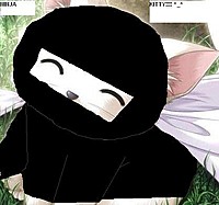 true ninja kitty