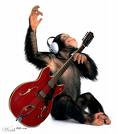 rockingout