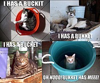 OhNoezMyBucketz